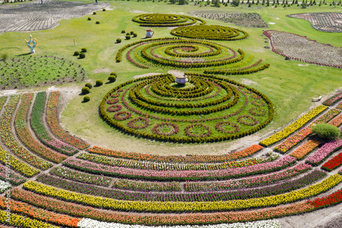 Landscape of Netherlands tulips with sunlight in Netherlands.