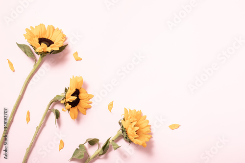 Summer concept with sunflowers. Border arrangement background. Flatlay, top v...
