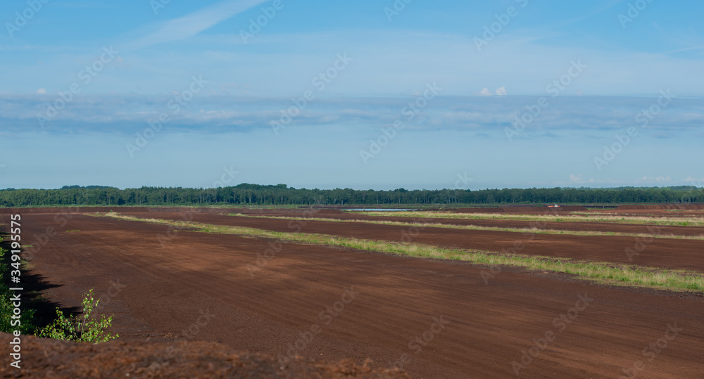 Obraz premium Torf Abbaufläche in einer Moorlandschaft