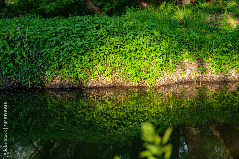Photos of nature and other objects with the sunset rays. Photos of nature and other objects with the sunset rays.