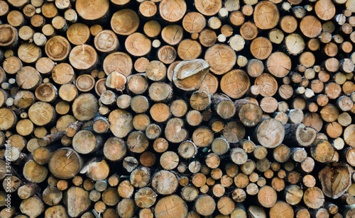 texture photo of stacked firewood. wooden logs are folded and represent an interesting texture