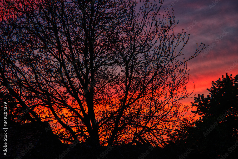 Brennender Himmel in Bayern, romantisches Abendrot mit Baum, Seelenfrieden Brennender Himmel in Bayern, romantisches Abendrot mit Baum, Seelenfrieden