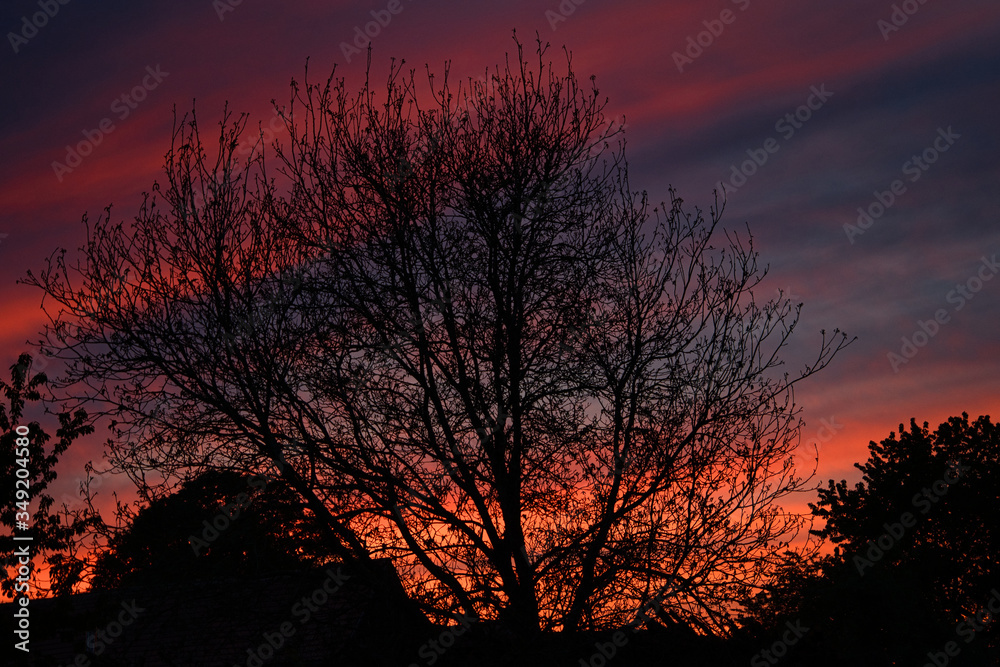Brennender Himmel in Bayern, romantisches Abendrot mit Baum, Seelenfrieden Brennender Himmel in Bayern, romantisches Abendrot mit Baum, Seelenfrieden