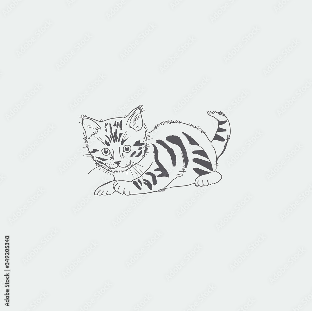 Obraz premium kitten drawing