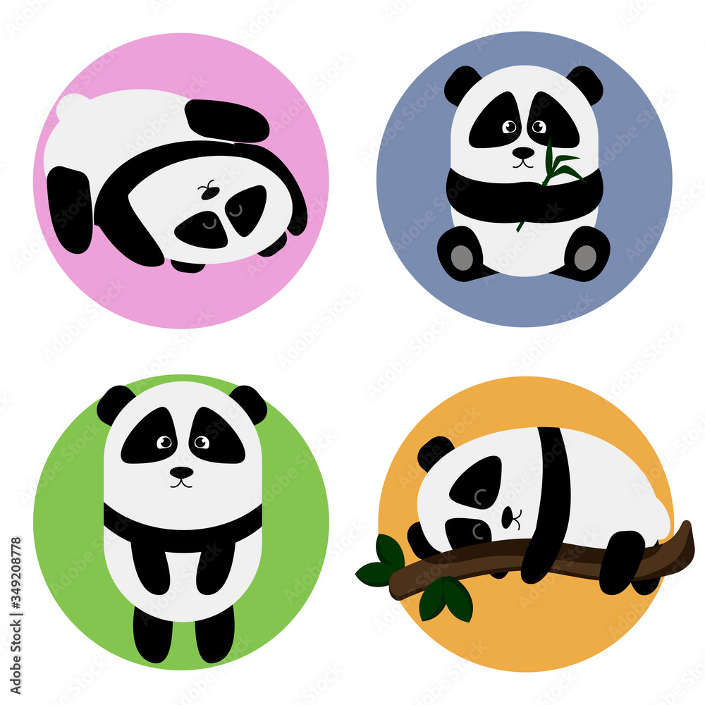 Obraz premium słodkie pandy