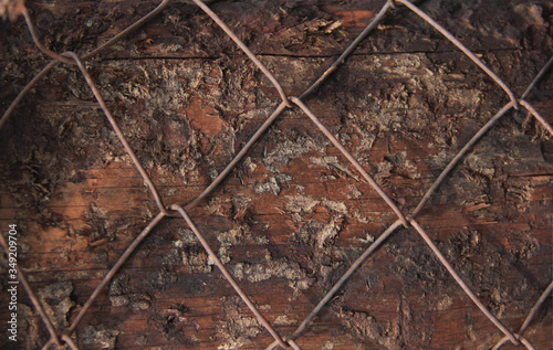 background close-up of rhombuses from an iron fence mesh, background tree sleepers dark, grunge, street background, wall, abandoned,deserted, Rusty mesh background texture,space,no people © Red diamond