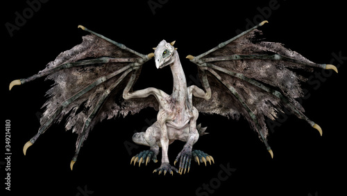 3D Rendering Fairy Tale Dragon on Black © photosvac