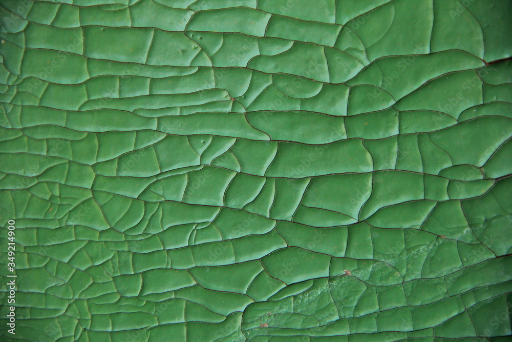 Obraz premium background old cracked paint green