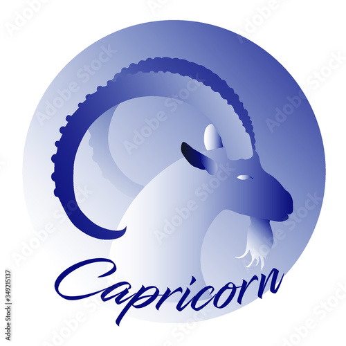 Capricorn astrological zodiac sign vector illustration. Horoscope earth element. Logo emblem with sea-goat flat concept. Creative art design for web and print. Isolated on white