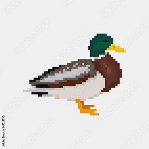 Old school 8 bit pixel art seagull standing on the ground.Sea bird icon isolated on white background. Side view gull symbol. Retro video pc game character. Slot machine graphics. Summer vacation logo.