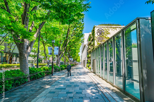 東京 青山 表参道 ~ Omotesando, the most fashionable street in Tokyo, Japan ~