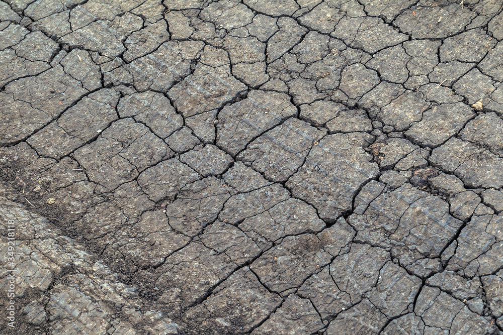 Cracked Earth. Concept: Cracks on surface of earth change as result of shrinkage of dirt due to arid conditions of terrain, global warming, ecology. Deadly drought. Tree growing on cracked ground Cracked Earth. Concept: Cracks on surface of earth change as result of shrinkage of dirt due to arid conditions of terrain, global warming, ecology. Deadly drought. Tree growing on cracked ground