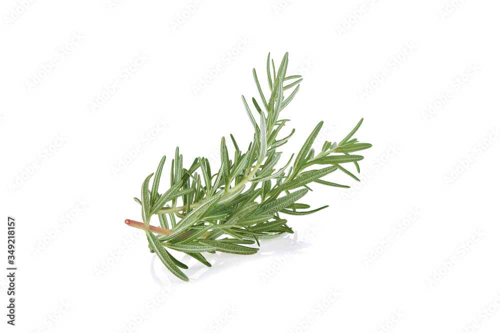 Fototapeta premium Rosemary isolated on white background.