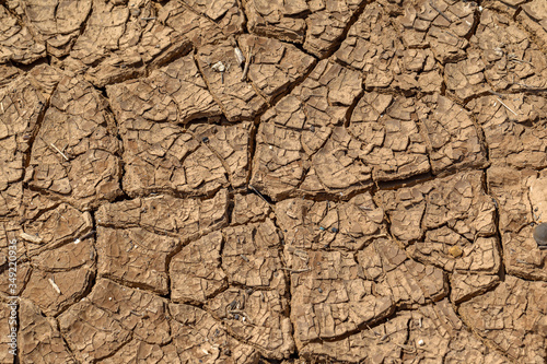 Cracked Earth. Concept: Cracks on surface of earth change as result of shrinkage of dirt due to arid conditions of terrain, global warming, ecology. Deadly drought. Tree growing on cracked ground