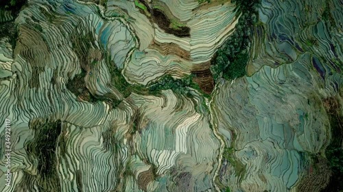 Terraced rice field in water season of Hani ethnic people in Yuanyang, Yunnan province, China (aerial photography) photo