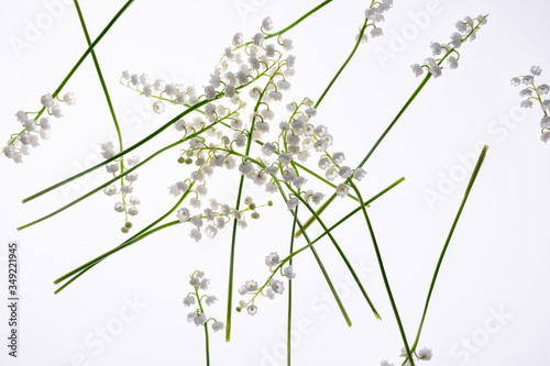 flower pattern background of Lily of the valley flowers top view  flat lay. concept spring  summer  Mother s Day holiday  March 8. Composition of flowers.Floral abstract background.