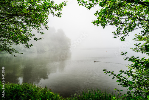 lac d' Aydat dans la brume