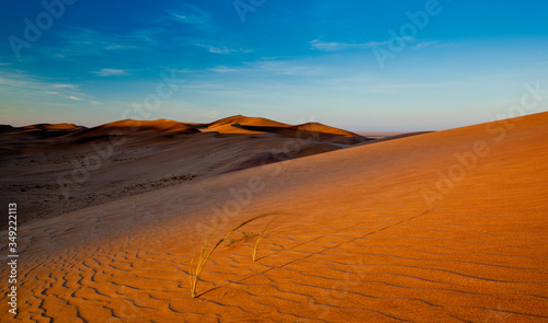 dunes in Namibia