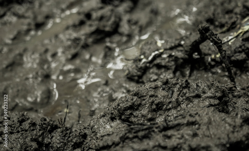 Beautiful picture of dry soil.