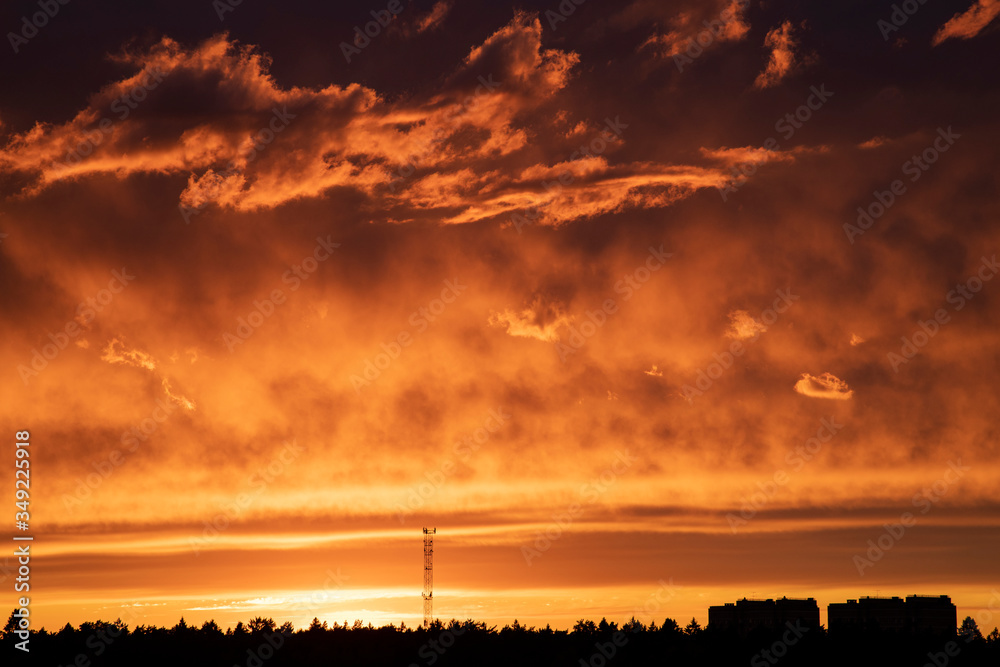 Bright orange sunset on a forest background