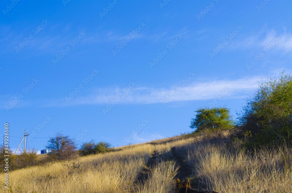 Obraz premium hill with grass in spring