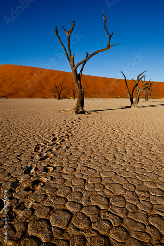 sossusvlei namibia, desert landscape