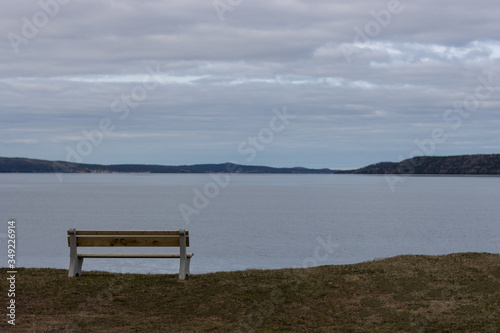 Bench with View