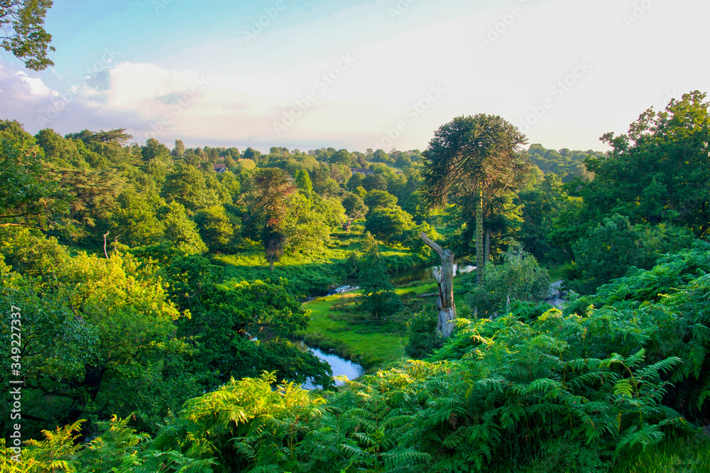 Stunning, calming, beautiful and serene outdoor spaces - green and relaxing view overlooking river and forest