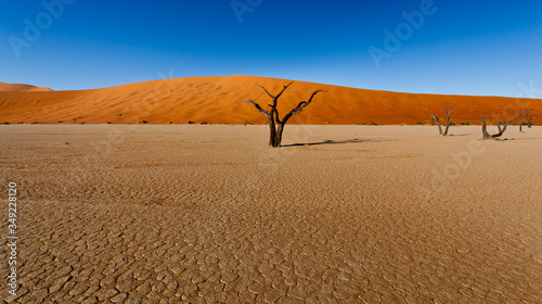 sossusvlei namibia, desert landscape © francoisloubser