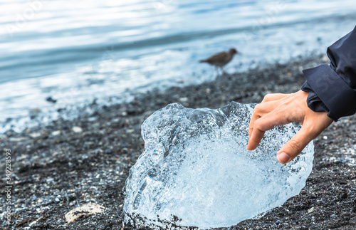 A hand stroking ice on the beach of Jokulsarlon Ice Lake in the Golden Circle of southern Iceland