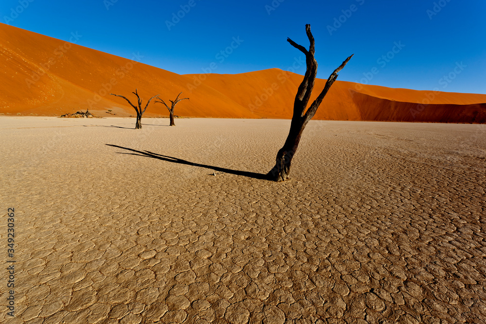 Obraz na plátně sossusvlei namibia, desert landscape