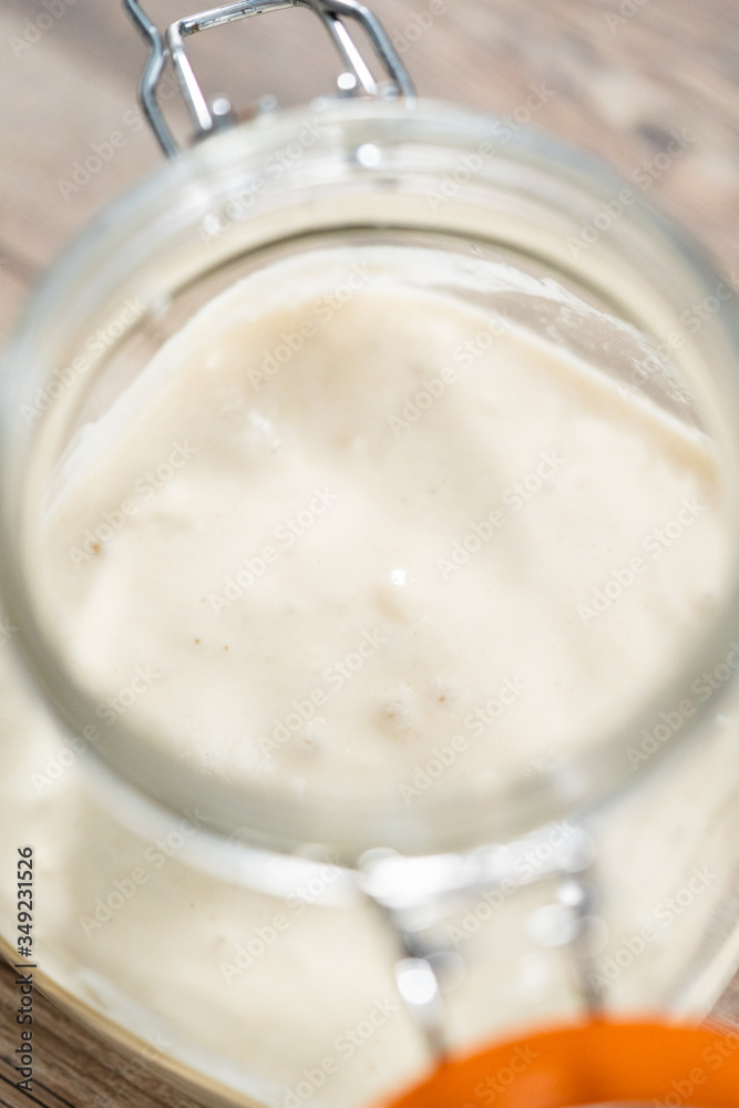 Sourdough starter Sourdough starter