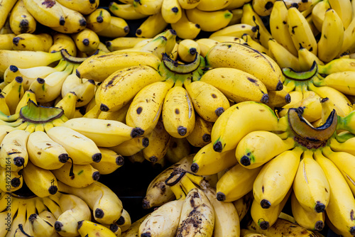 Bananas na no mercado para venda photo