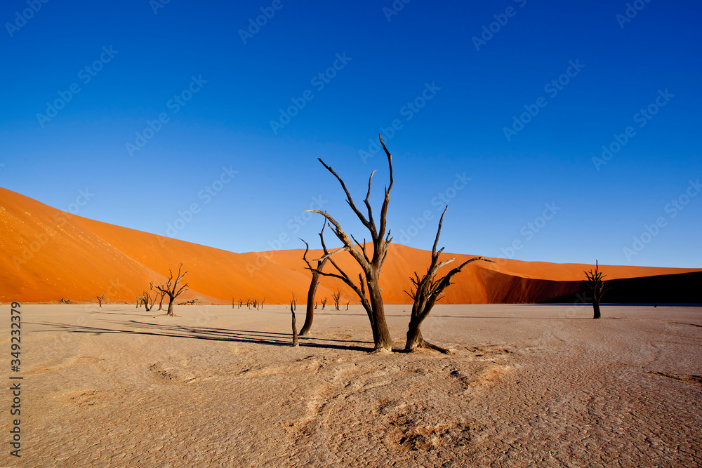 sossusvlei namibia, desert landscape
