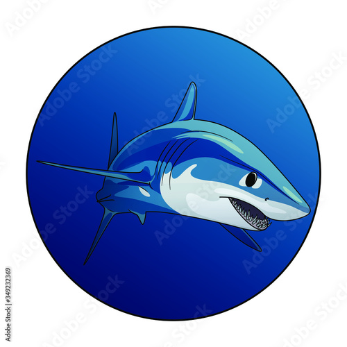 Mako shark. Swimming shark in a blue circle. Animal illustration Logotype for diving business or underwater aquarium center. Isolated on white background. Deep sea ocean wildlife predator logo icon