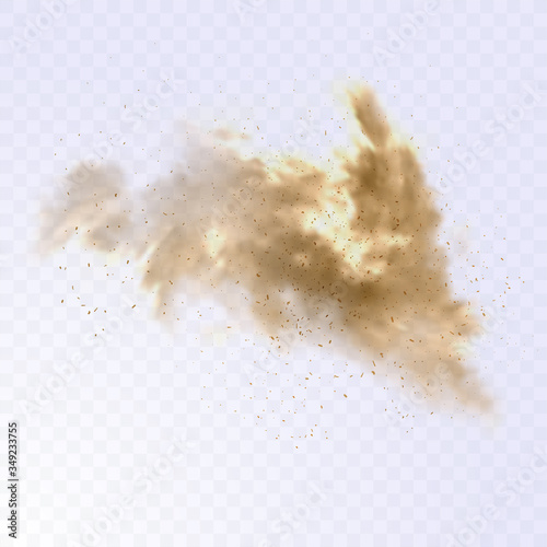 Dust cloud with particles. Realistic vector illustration on transparent background. Sandstorm explosion.