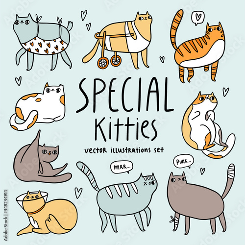 Cute special cats cartoon vector set
