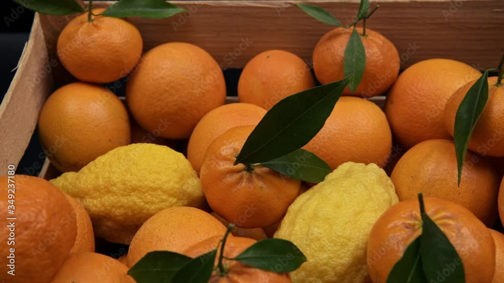 Assortment of agrumi fruits, oranges, clementines with green leaves and lemons in the wooden box