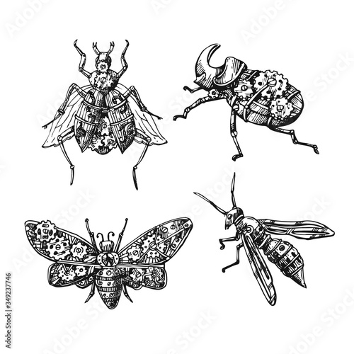 Mechanical insect. Hand drawn beautiful vector illustration.