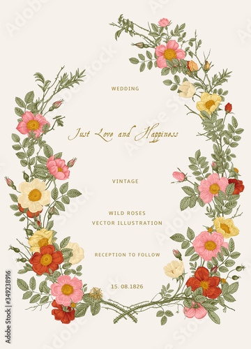 Wreath with wild roses. Wedding invitation. Vector vintage floral illustration. Colorful