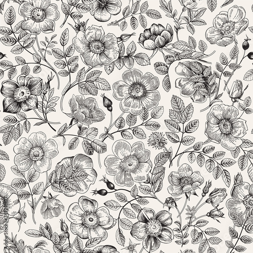 Vintage floral illustration. Wild roses. Seamless pattern. Black and white