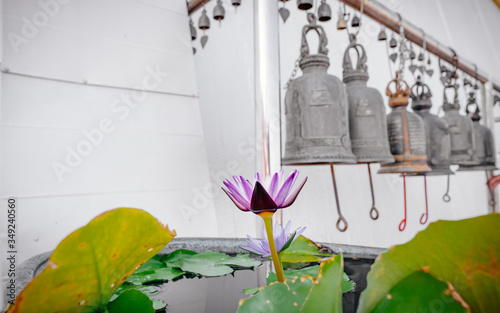 Thai temple bells and monks Lotus flower on a Sunny day