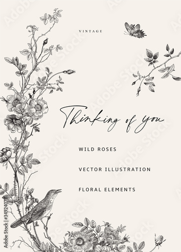 Fototapeta Card with wild roses