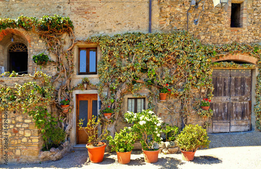 Naklejka premium Glimpsy of medieval house entrance in old historic alley in the beautiful village of Anghiari near city of Arezzo in Tuscany, Italy 