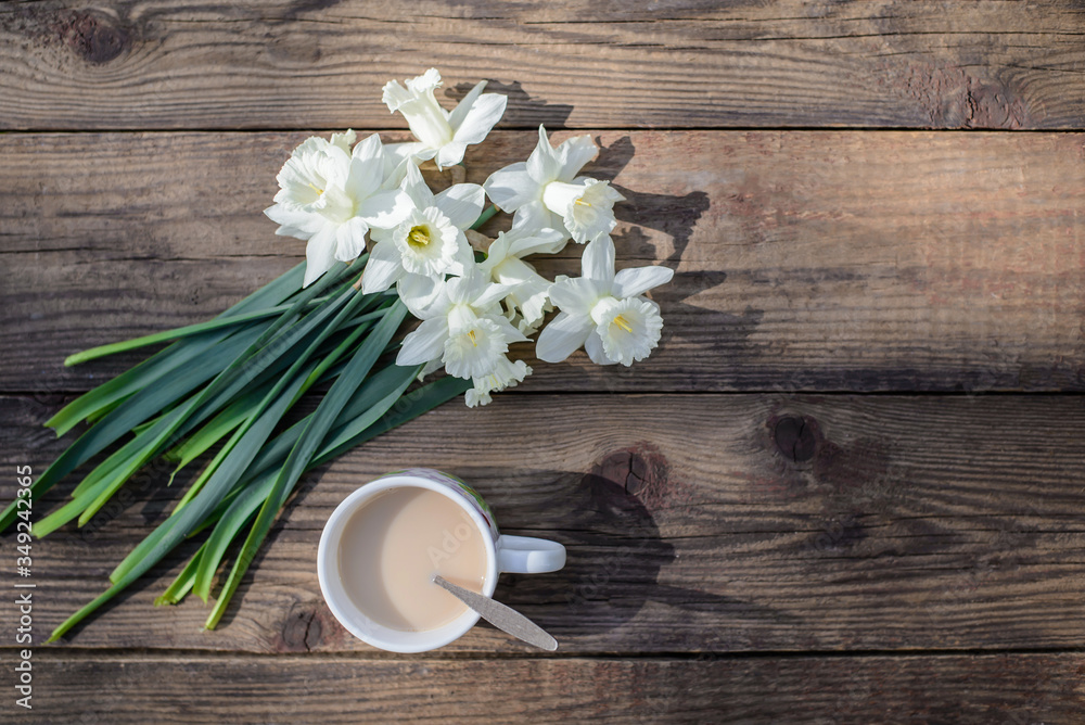 White daffodils on a wooden background with a copy space White daffodils on a wooden background with a copy space