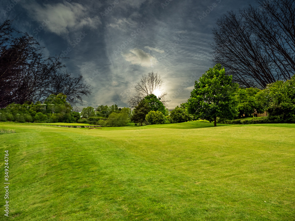 Obraz premium EMPTY GOLF COURSE 