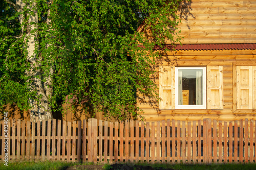 The wooden house is lit by the setting sun. Colorful view of a country house and birch.