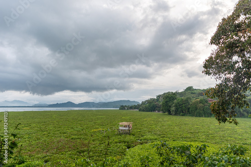 North Sulawesi, Tondano lake and minahasa region photo