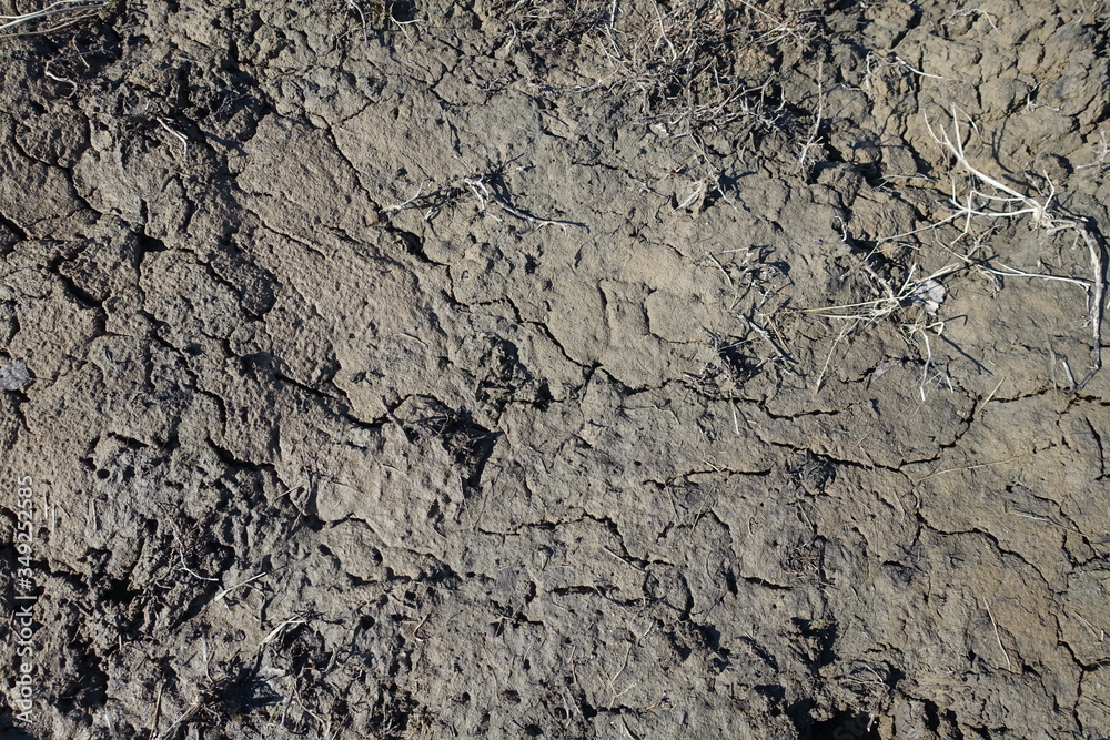 Cracked wet mud clay earth background. Texture of wet soil, top view. Cracked wet mud clay earth background. Texture of wet soil, top view.