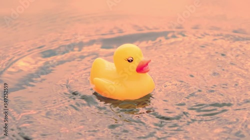 Yellow rubber duck toy falls in lake, drops splatter